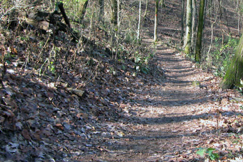 Warner Parks Trail