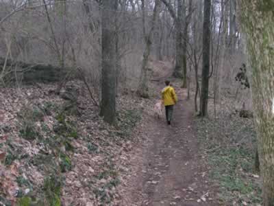 Harpin Curve area of Warner Woods Trail