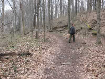 Farrell Road Warner Woods trail